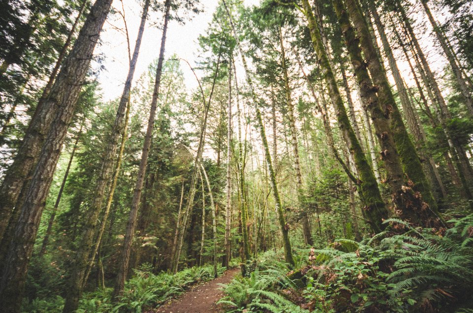 Cable Bay Trail