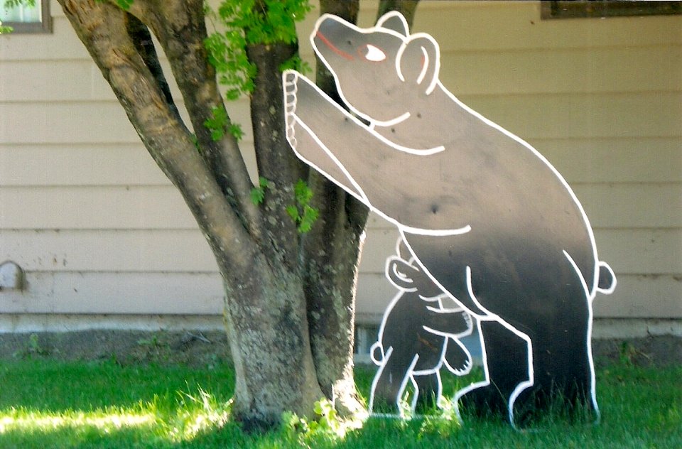 Middle Lake, Saskatchewan - Mother Bear & Cub