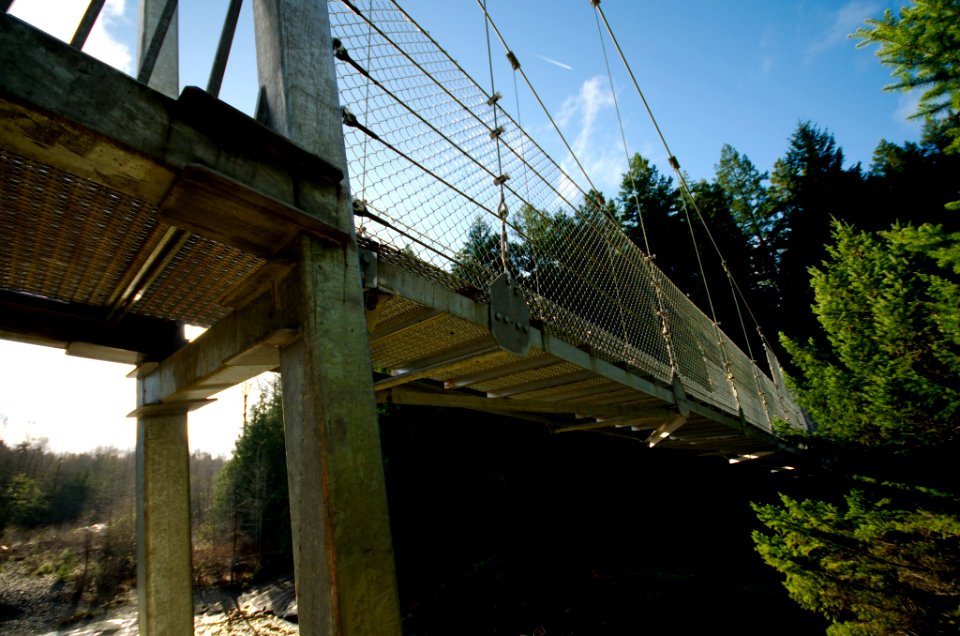 Bridge from Below