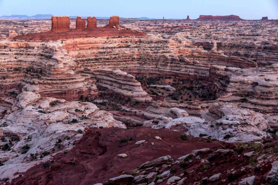 Chocolate Drops in Evening Light