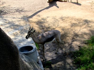 IMG 4531 (2)