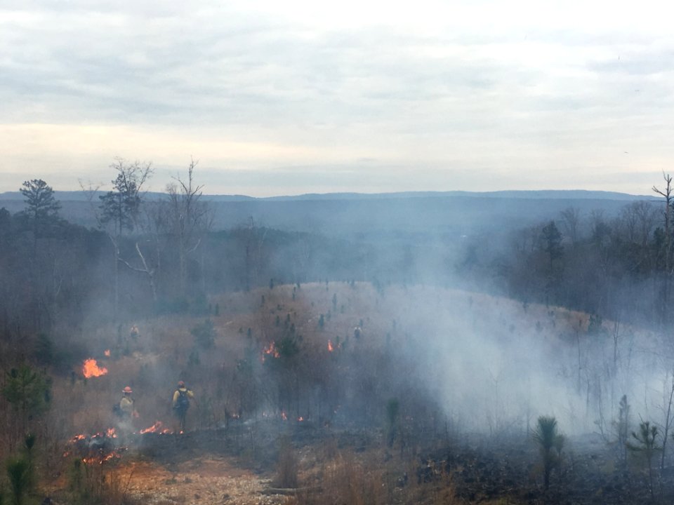 Controlled burn to restore mountain longleaf pine in northwest Georgia - 170317-FS-Chattahoochee-Oconee-SB-023