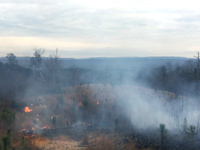 Controlled burn to restore mountain longleaf pine in northwest Georgia - 170317-FS-Chattahoochee-Oconee-SB-023