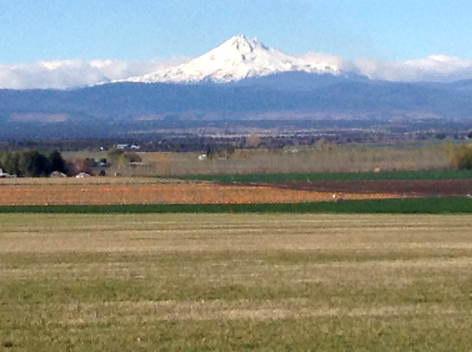 Central Oregon Pumpkin Patch