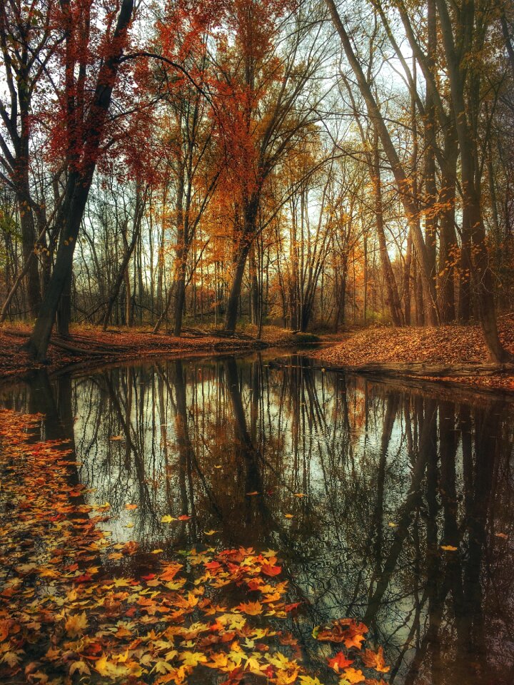 Mysterious moody fall