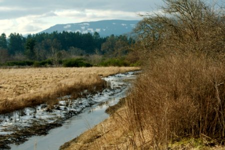 Frozen ditch