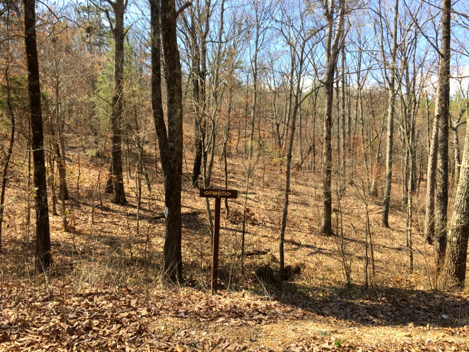 Controlled burn to restore mountain longleaf pine in northwest Georgia - 170317-FS-Chattahoochee-Oconee-SB-047