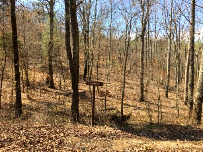Controlled burn to restore mountain longleaf pine in northwest Georgia - 170317-FS-Chattahoochee-Oconee-SB-047