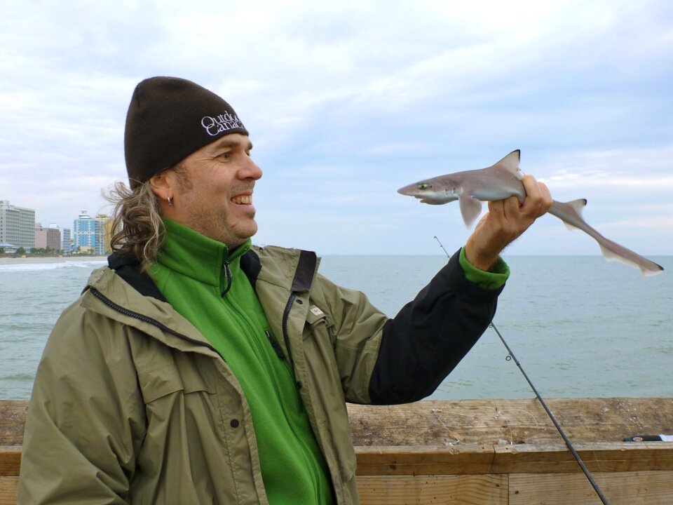 South carolina sc sand shark