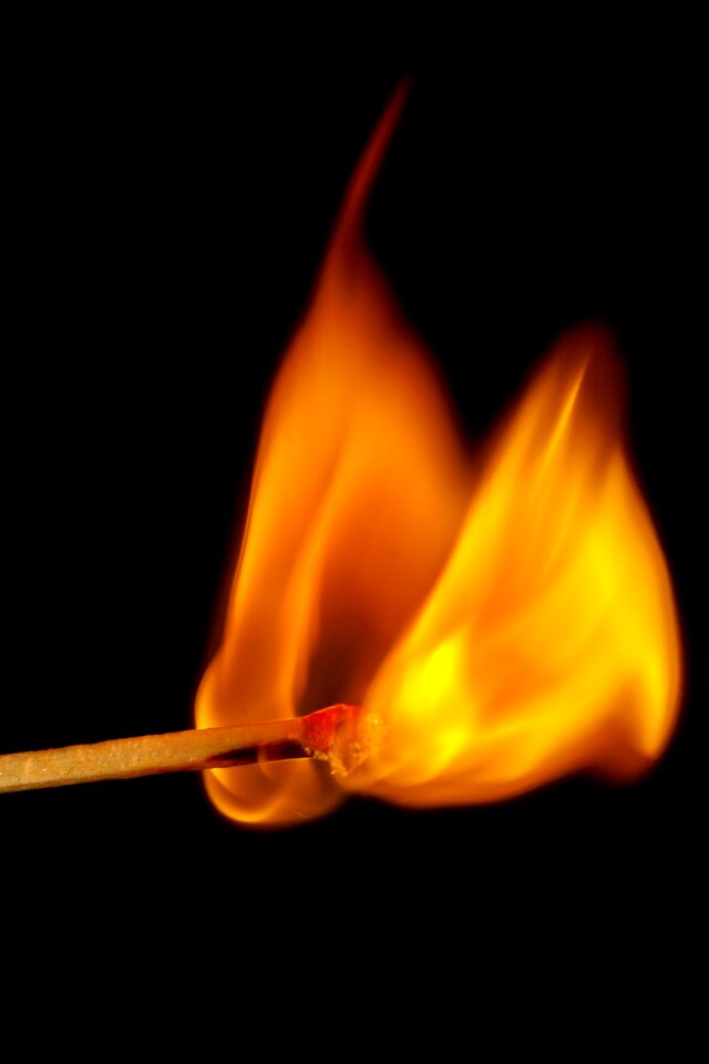 Burn matches kindle