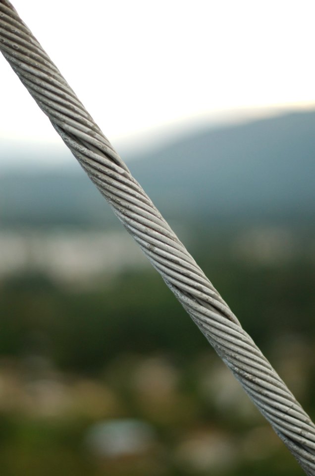 Cable