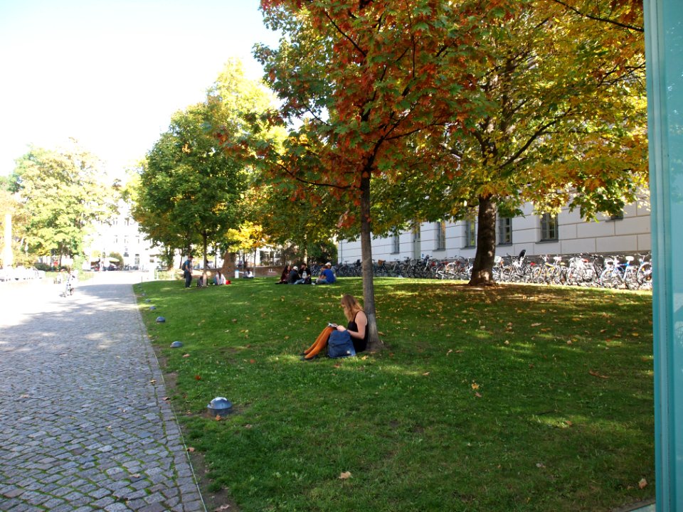 Martin-Luther-Universität Halle/Wittenberg
