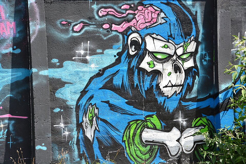 Painted walls urban art of the cities