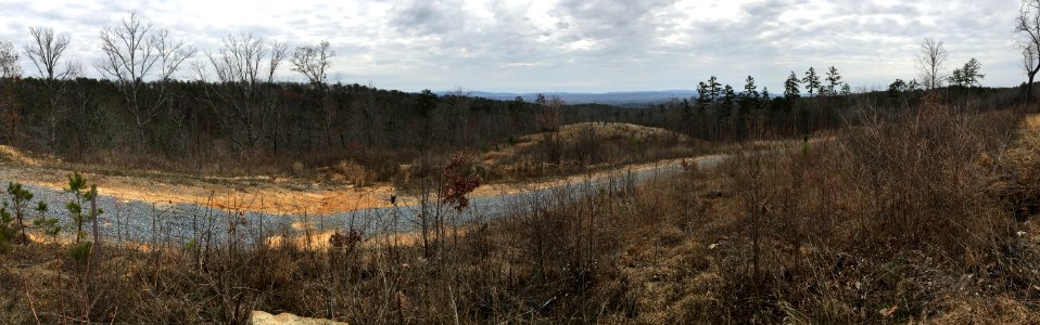 Controlled burn to restore mountain longleaf pine in northwest Georgia - 170317-FS-Chattahoochee-Oconee-SB-069