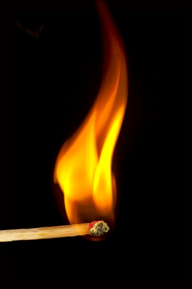 Burn matches kindle