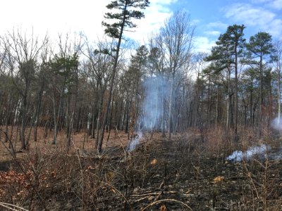 Controlled burn to restore mountain longleaf pine in northwest Georgia - 170317-FS-Chattahoochee-Oconee-SB-038
