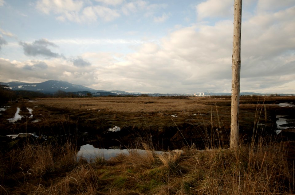Post, Mountain and Field