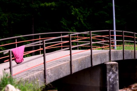Pedestrian Bridge