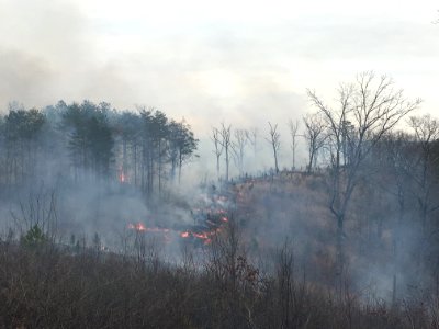 Controlled burn to restore mountain longleaf pine in northwest Georgia - 170317-FS-Chattahoochee-Oconee-SB-030