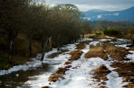 Frozen path