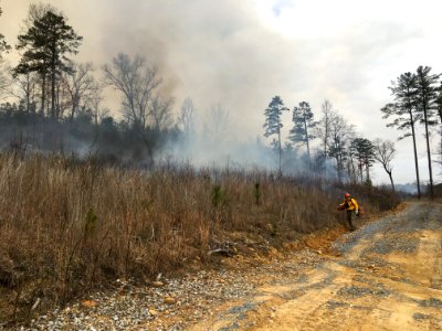 Controlled burn to restore mountain longleaf pine in northwest Georgia - 170317-FS-Chattahoochee-Oconee-SB-010