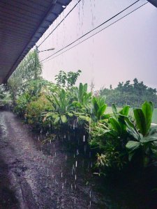 IMG 20171124 113640