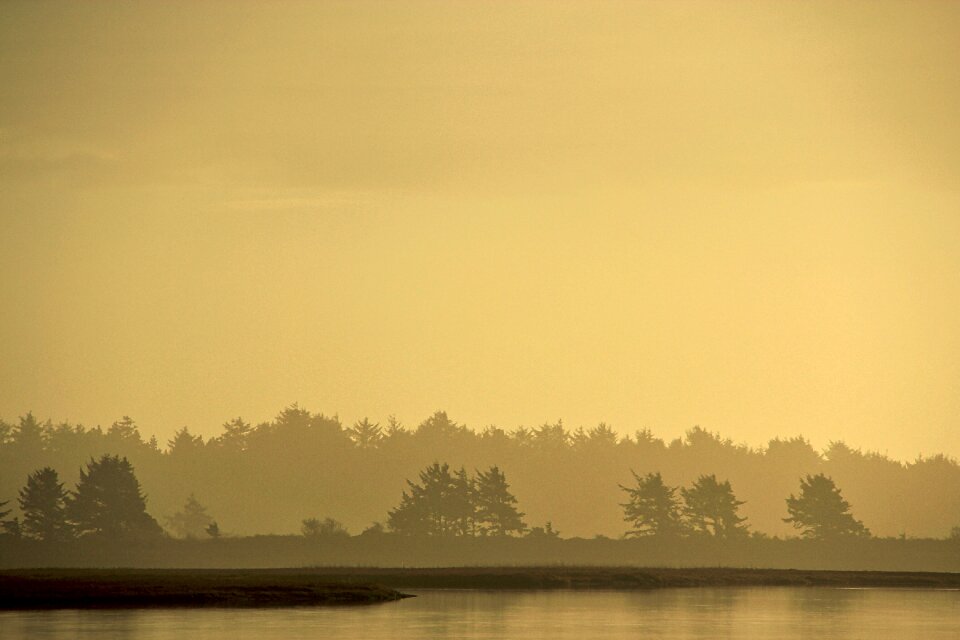 Silhouette nature sunset