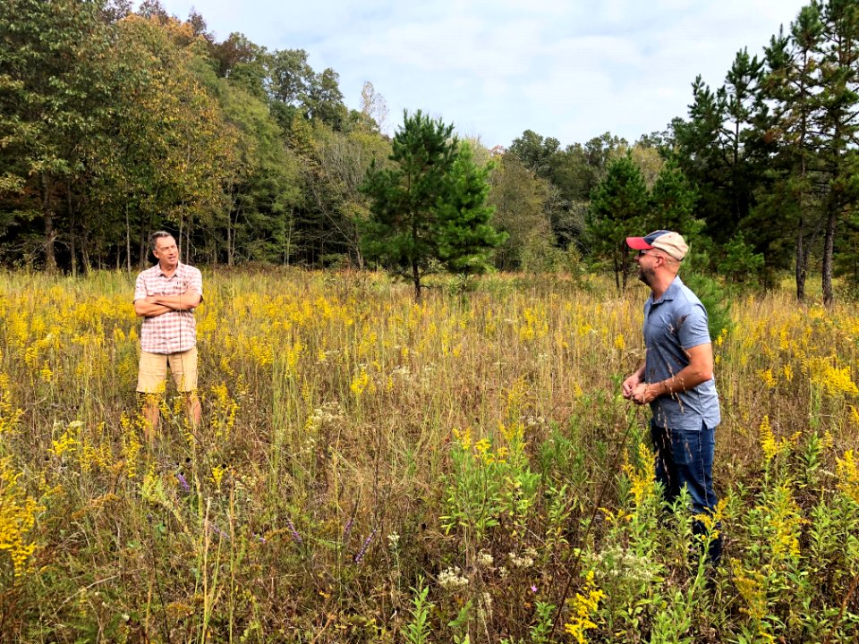 New Videos Released on the History and Future of Prairies in the Piedmont – Important to People, Pollinators, and Wildlife