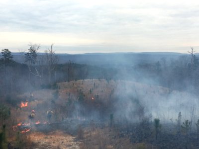 Controlled burn to restore mountain longleaf pine in northwest Georgia - 170317-FS-Chattahoochee-Oconee-SB-022