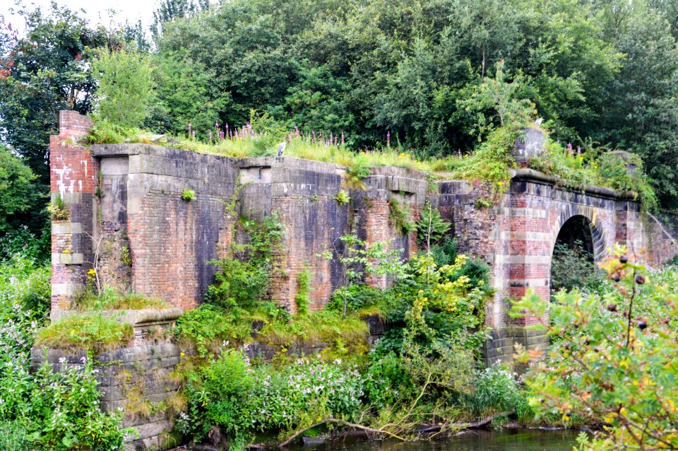 Decaying Remains. 1098