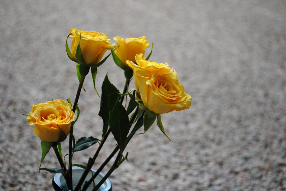 Floral nature valentine