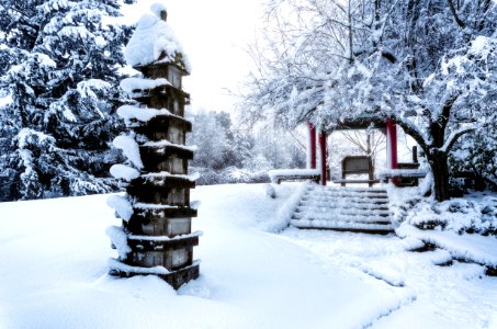 Chinese Cemetery