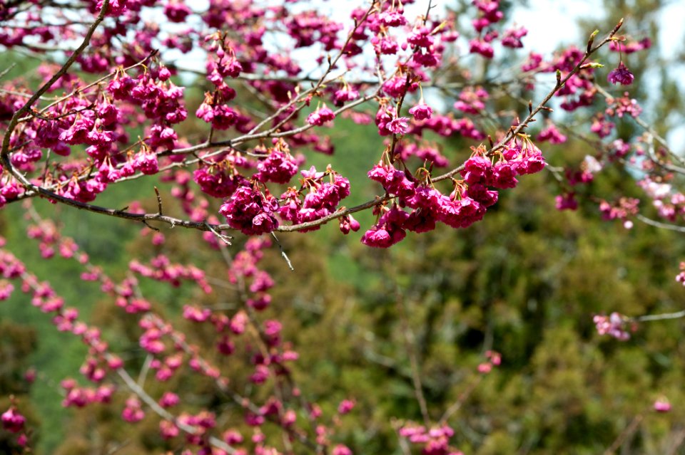 DSC 8458