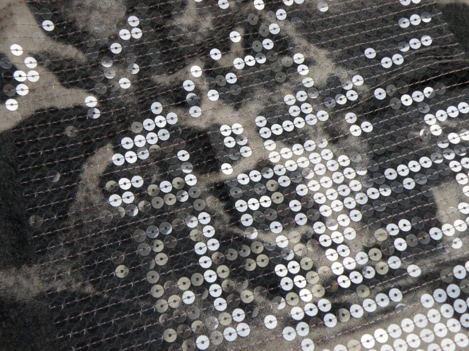 Clothing fashion shine