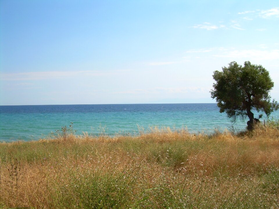 Meadow sea water