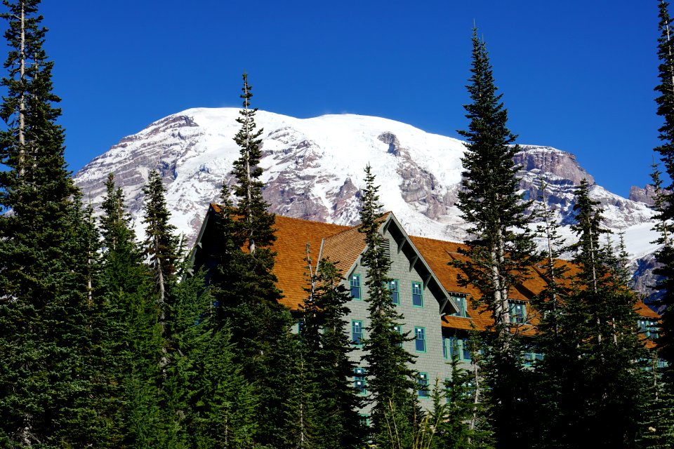 Paradise Inn Annex 10-2018