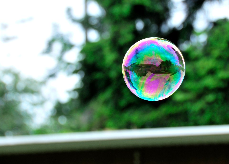 The world's just a bubble