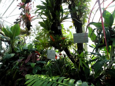 Botanischer Garten
