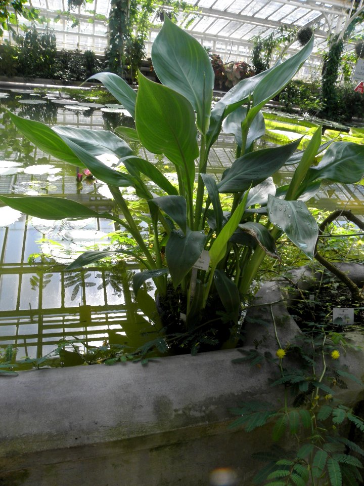 Botanischer Garten
