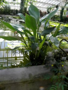 Botanischer Garten
