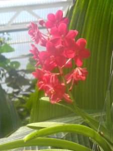 Botanischer Garten