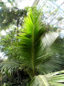 Botanischer Garten