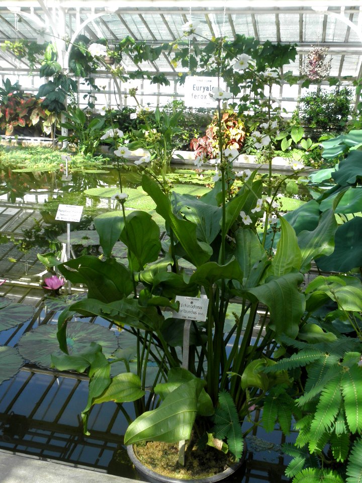 Botanischer Garten