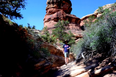 Hiking in the Needles