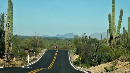 Saguaro National Park