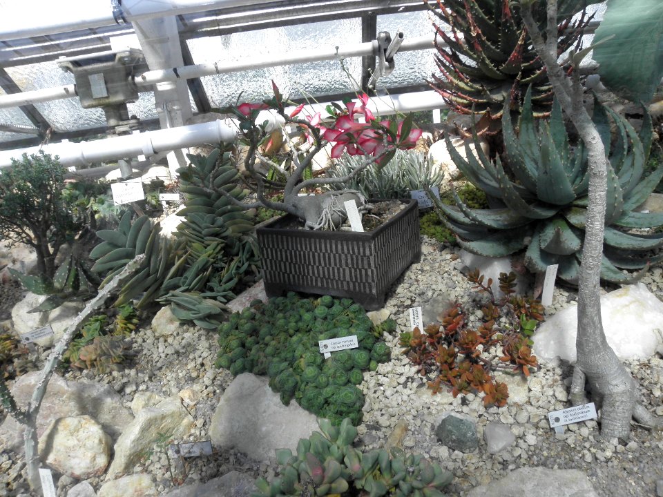 Botanischer Garten