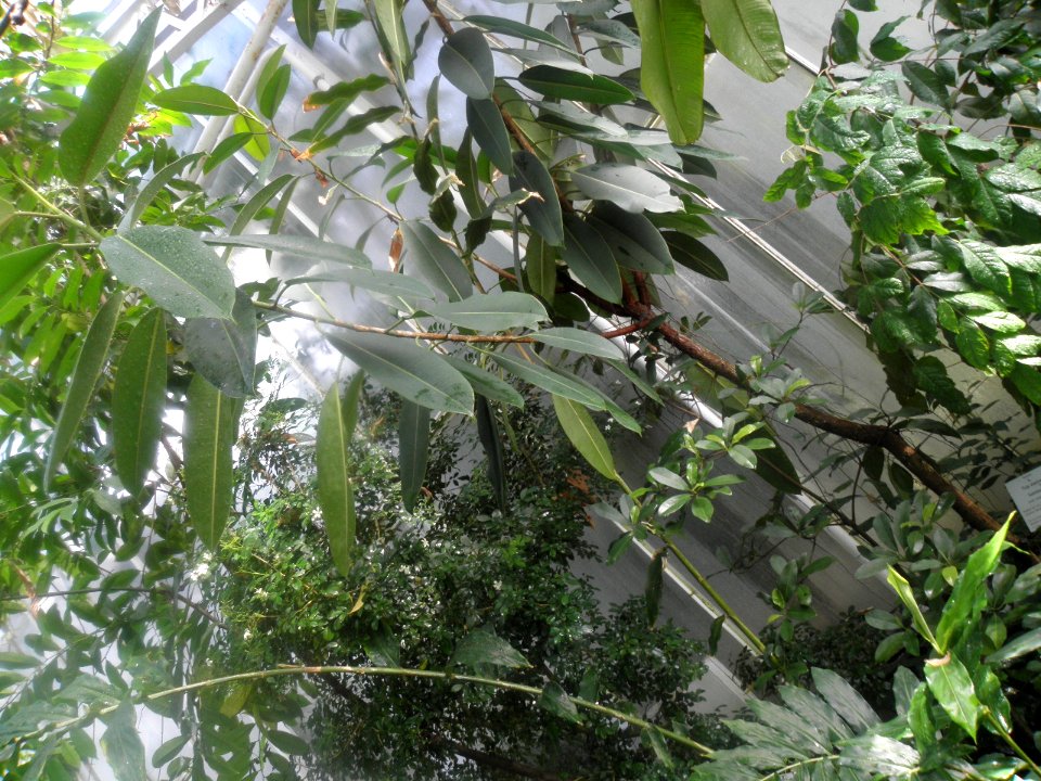 Botanischer Garten