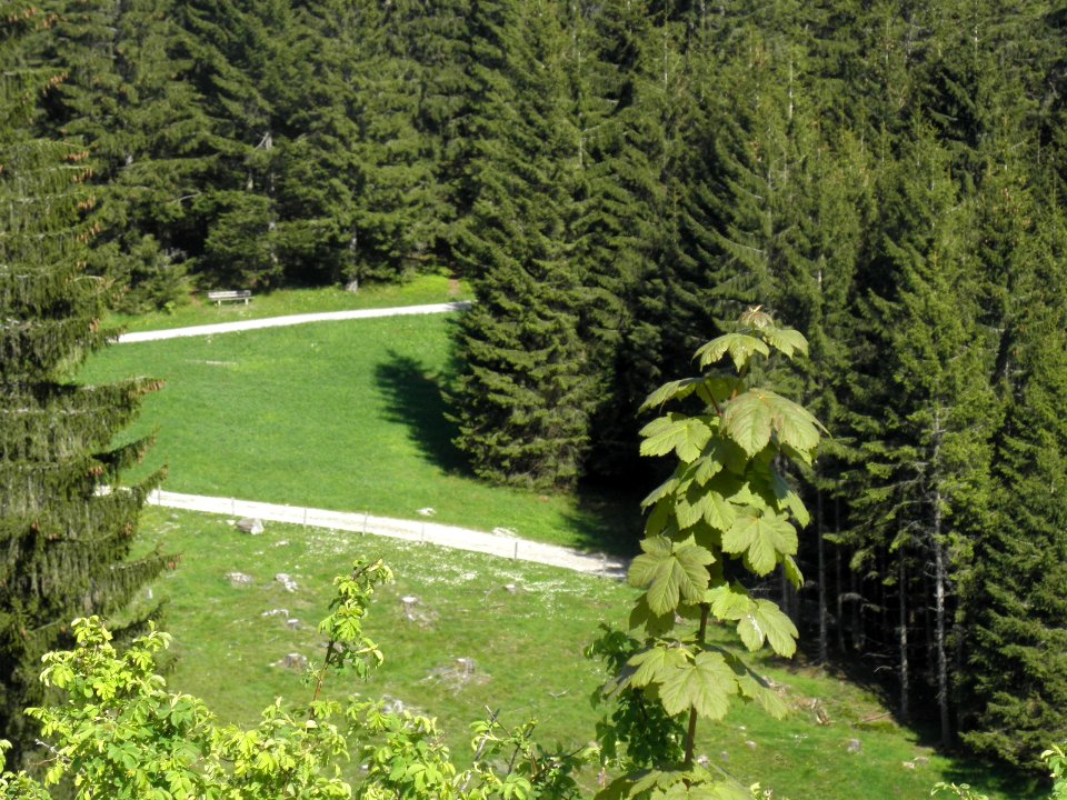 Ausflug Bad Tölz 28.05.2015