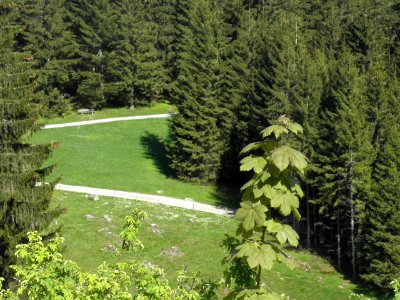 Ausflug Bad Tölz 28.05.2015