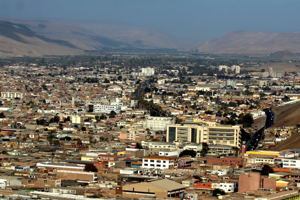 Arica y el valle del Azapa de fondo